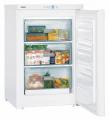 Liebherr G1213-20 Gefrierschrank/ Energieeffizienzklasse A+